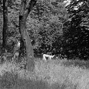 Sunbather: Battersea Park, London