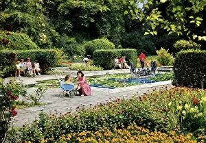 Elmar: Battersea Park, London