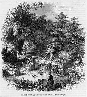 Harolds: BATTLE ABBEY