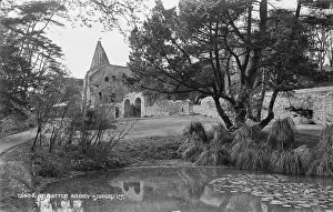 Arched: At Battle Abbey