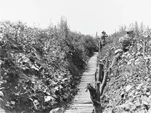 Duckboards: Battle of Albert 1916