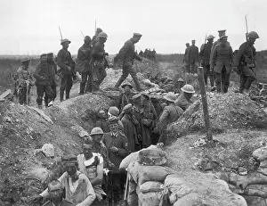 Worcester: Battle of Albert 1916
