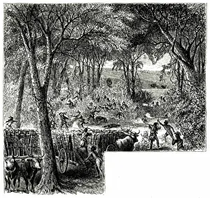 Ambush: The Battle of Bloody Brook