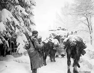 Bulge: Battle of the Bulge, 1944