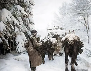 Bulge: Battle of the Bulge, 1944