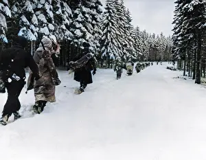 Bulge: Battle of the Bulge