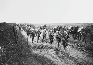 Ulster: Battle of Cambrai 1917