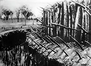 Traps: Battle of Cameroon, 1915