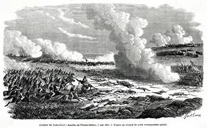 Battalions: Battle of Estero-Bellaco