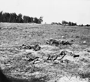 Skeletons: Battle-field of Gaines Mill, Va