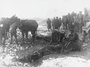 Messines: Battle of Messines Ridge 1917