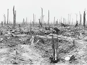 Messines: Battle of Messines Ridge