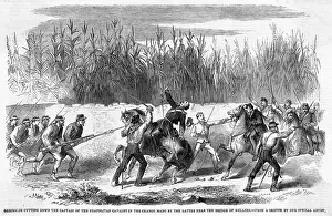 Sicilies: Battle of Milazzo