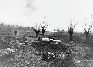 Chapelle: Battle of Neuve Chapelle 1915