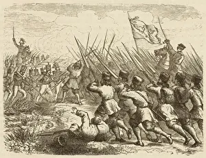 Zygmunt: BATTLE OF OSTROLENKA