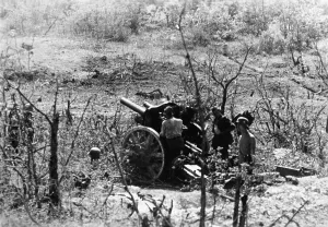 Howitzer: Battle of Sevastopol, 1942