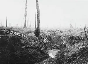 Delville: Battle of the Somme