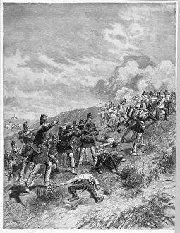 Piedmontese: BATTLE OF STAFFALO