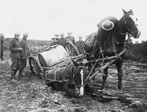 Eloi: Battle of Ypres 1917
