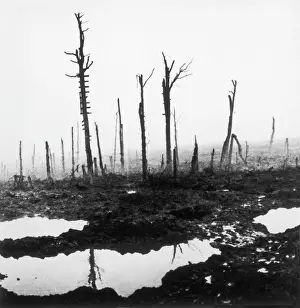 Bleak: After the Third Battle of Ypres, Belgium, WW1