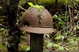 Intact: Battlefield grave memorial