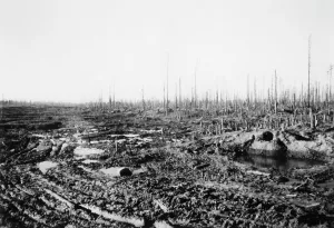 Carpets: Battlefield at the northern sector of the Eastern Front