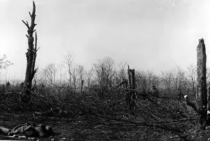 Affected: Battlefield on the Western Front, 1916