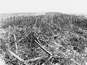 Fences: Battles of Arras 1917