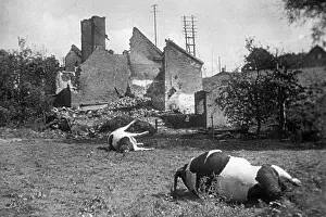 Decay: Battles in Poland, 1939