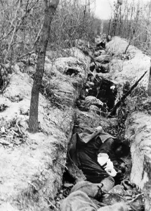 Corpses: Battles for Sevastopol, 1942