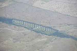 Batty: Batty Moss, North Yorkshire