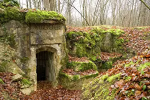 Mihiel: Bavarian command post bunker ruins, Brule Woods, France
