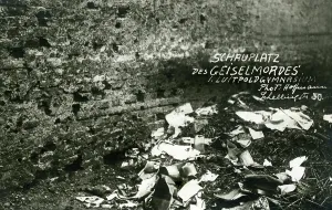 Backyard: The Bavarian Soviet Republic, 1919