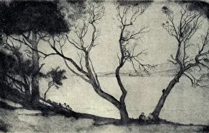 Coogee: Across The Bay, Coogee, N.S.W