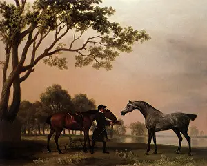 1765: Bay Hunter and Arabian, by Stubbs