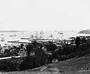 Narrows: Bay of New York