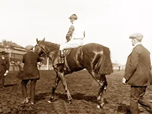 Bayardo: Bayardo Doncaster Race Course