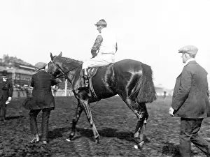 Bayardo: Bayardo, Doncaster Racecourse