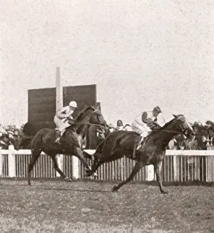 Bayardo: Bayardo's second Doncaster victory