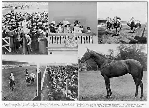 Bayardo's St Leger
