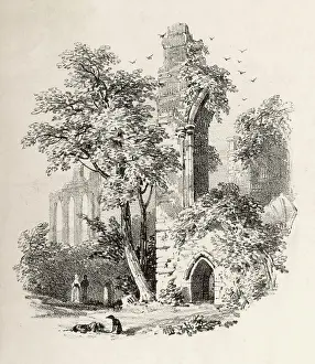 Sightseers: Bayham Abbey
