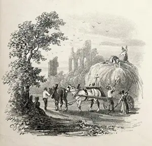 Sightseers: Bayham Abbey