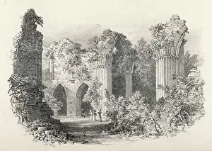 Sightseers: Bayham Abbey