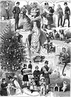 Philanthropic: Bazaar in aid of Dr. Barnardo's homes 1882