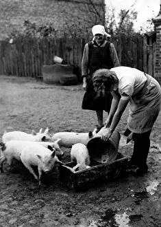 Landjahr: BDM girl working in the shed, 1940