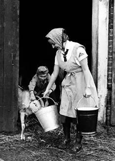 Landjahr: BDM girl working in the shed, 1940