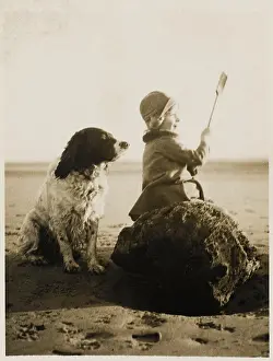 Springer: ONE THE BEACH WITH DOG