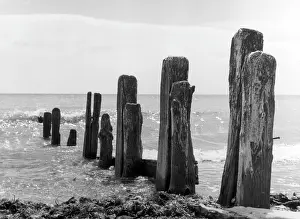 Groyne: BEACH GROYNE