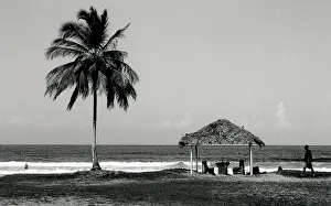 The Japics Historic Image Collection: Beach scene in Trinidad, West Indies