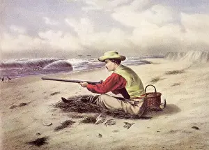 Snipe: Beach Snipe Shooting